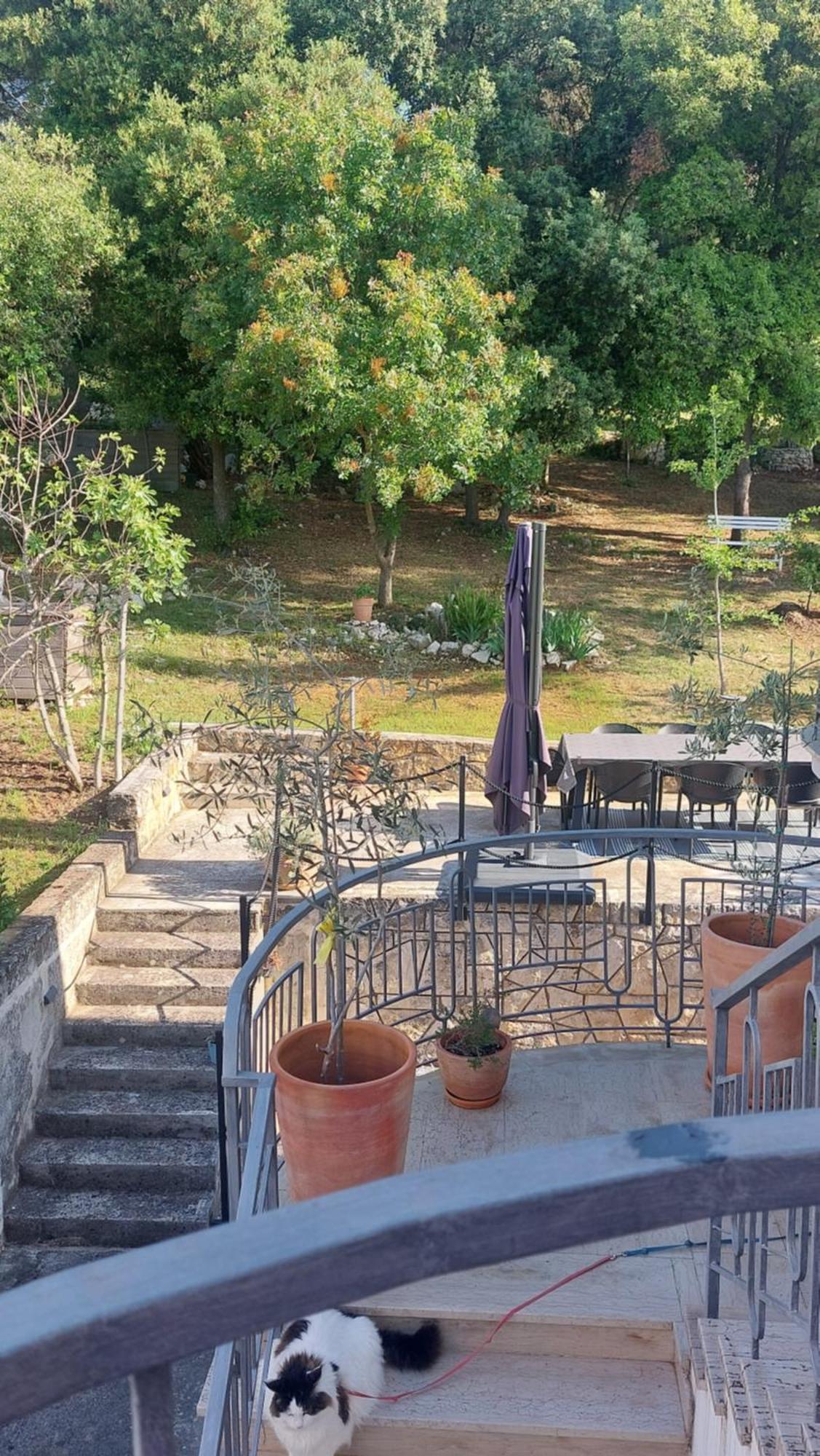 Ferienwohnung Marta Rovinj Exterior foto